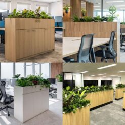 Mau bon cay gia, hop cay gia trang tri khong gian van phong dep me ly (1)