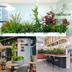 Mau bon cay gia, hop cay gia trang tri khong gian van phong dep me ly (2)