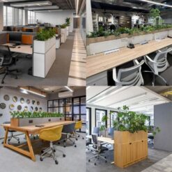 Mau bon cay gia, hop cay gia trang tri khong gian van phong dep me ly (3)