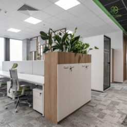 Thi cong bon cay gia decor van phong tao khong gian song xanh chon cong so (1)