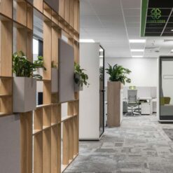 Thi cong bon cay gia decor van phong tao khong gian song xanh chon cong so (2)