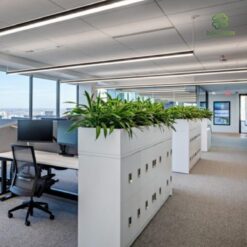 Thi cong buc cay xanh gia trang tri van phong lam viec dep mat (4)