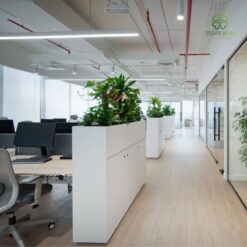 Thi cong buc cay xanh gia trang tri van phong lam viec dep mat (5)