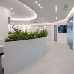 Buc cay gia cho phong kham nha khoa tao khong gian thu gian, an tam tai Ha Noi (1)