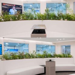 Buc cay gia cho phong kham nha khoa tao khong gian thu gian, an tam tai Ha Noi (3)