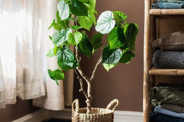 Cách chăm sóc cây giả trang trí đơn giản nhưng hiệu quả