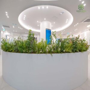 Bục cây giả cho phòng khám nha khoa tạo không gian thư giãn, an tâm tại Hà Nội