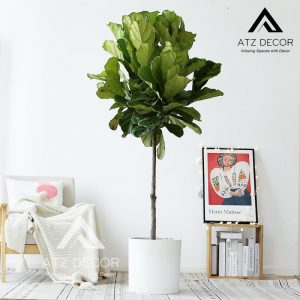 Cây bàng Singapore giả decor tối giản, trang trí không gian nội thất