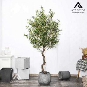 Cây oliu giả – Cây giả phong cách Bắc Âu cao cấp