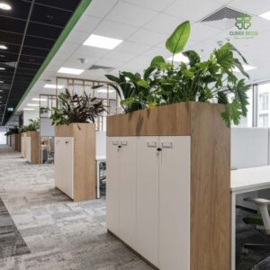 Thi công bồn cây giả decor văn phòng tạo không gian sống xanh chốn công sở