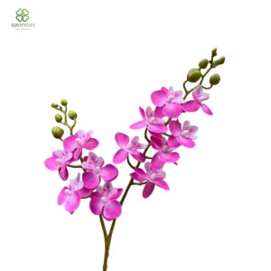 Cành hoa tiểu hồ điệp full màu