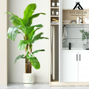 Cây chuối quê giả, cây chuối cảnh trang trí, đầy đủ mọi kích thước