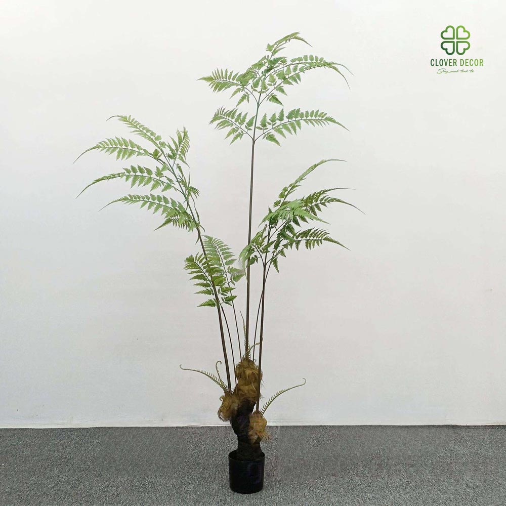 Cây dương xỉ cu ly giả 5 cay duong xi cu ly gia (2)