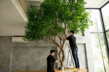 thi cong cay gia clover decor 3