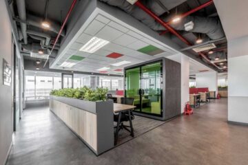 Thi công trang trí cây giả cho văn phòng Häfele tại TPHCM