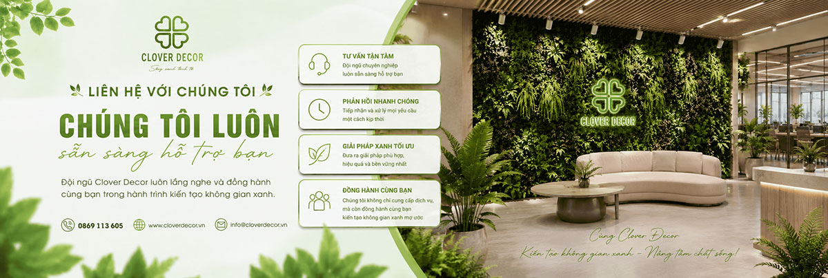 clover decor thi cong cay gia